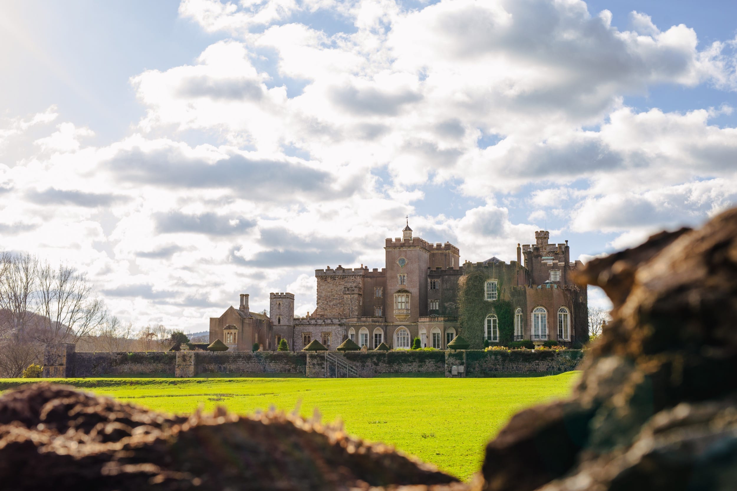 Powderham Castle and grounds